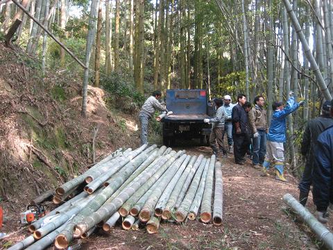 門松切り出し