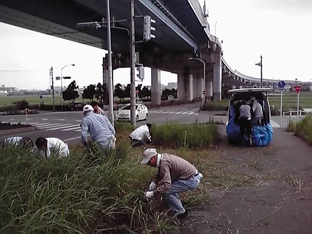 茅切り